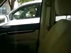 تقريبا عذراء ، سكس عراقي محجبه ربما حتى ...